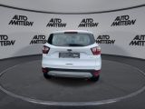 Ford Kuga bei Sportwagen.expert - Abbildung (4 / 15)