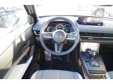 Mazda MX-30 bei Sportwagen.expert - Abbildung (2 / 15)