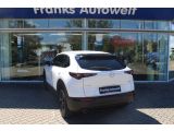 Mazda CX-30 bei Sportwagen.expert - Abbildung (7 / 15)