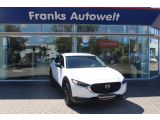 Mazda CX-30 bei Sportwagen.expert - Abbildung (3 / 15)