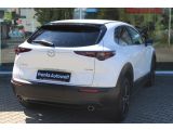 Mazda CX-30 bei Sportwagen.expert - Abbildung (6 / 15)