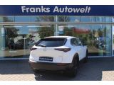 Mazda CX-30 bei Sportwagen.expert - Abbildung (5 / 15)