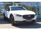 Mazda CX-30 bei Sportwagen.expert - Abbildung (4 / 15)