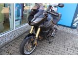 Triumph Tiger bei Sportwagen.expert - Abbildung (5 / 15)