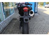 Triumph Tiger bei Sportwagen.expert - Abbildung (12 / 15)