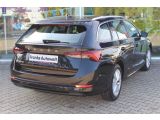 Skoda Octavia bei Sportwagen.expert - Abbildung (8 / 15)