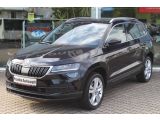 Skoda Karoq bei Sportwagen.expert - Abbildung (2 / 15)