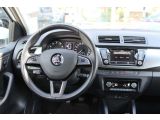 Skoda Fabia bei Sportwagen.expert - Abbildung (11 / 15)