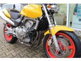 Honda CB Hornet bei Sportwagen.expert - Abbildung (5 / 15)