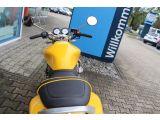 Honda CB Hornet bei Sportwagen.expert - Abbildung (10 / 15)