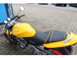 Honda CB Hornet bei Sportwagen.expert - Abbildung (13 / 15)