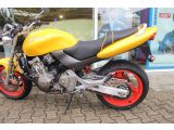 Honda CB Hornet bei Sportwagen.expert - Abbildung (4 / 15)