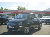 Fiat 500 C bei Sportwagen.expert - Abbildung (2 / 15)