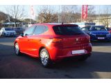 Seat Ibiza bei Sportwagen.expert - Abbildung (3 / 15)