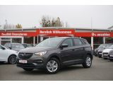 Opel Grandland X bei Sportwagen.expert - Abbildung (2 / 15)