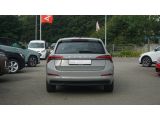 Skoda Scala bei Sportwagen.expert - Abbildung (4 / 15)