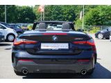 BMW 4er bei Sportwagen.expert - Abbildung (5 / 15)